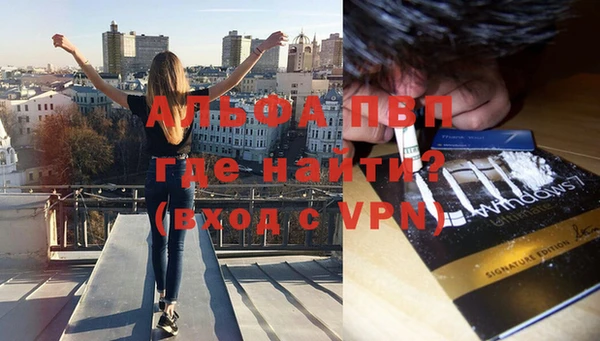 спиды Алексин