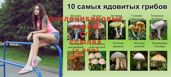 спиды Алексин