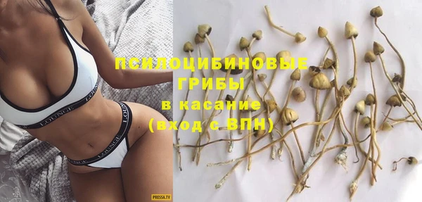 амфетамин Алексеевка